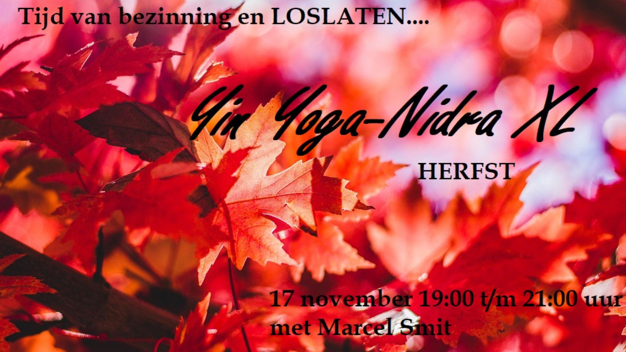 Yin Yoga-Nidra XL door Marcel Smit