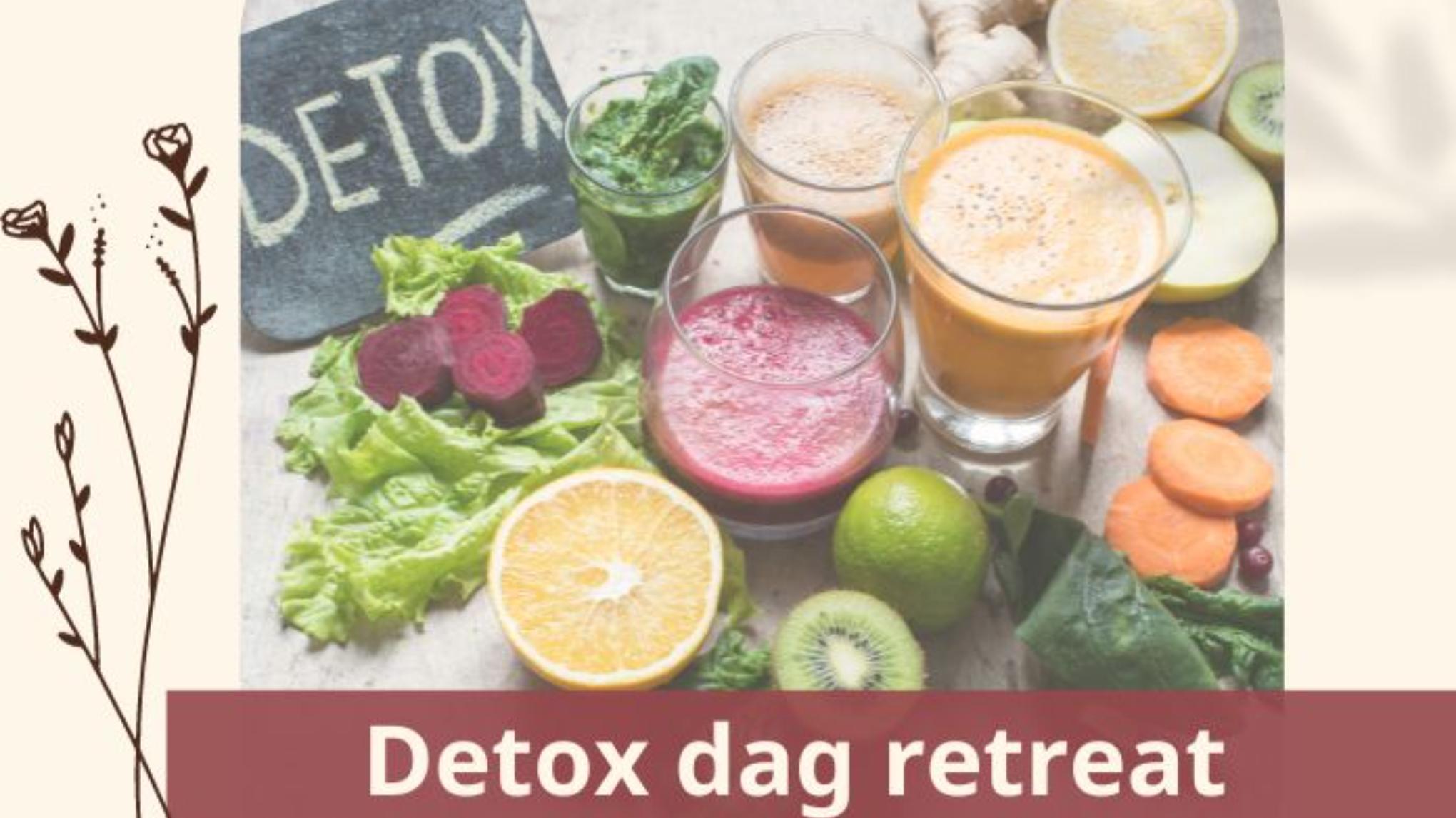 Detox Middag Retreat