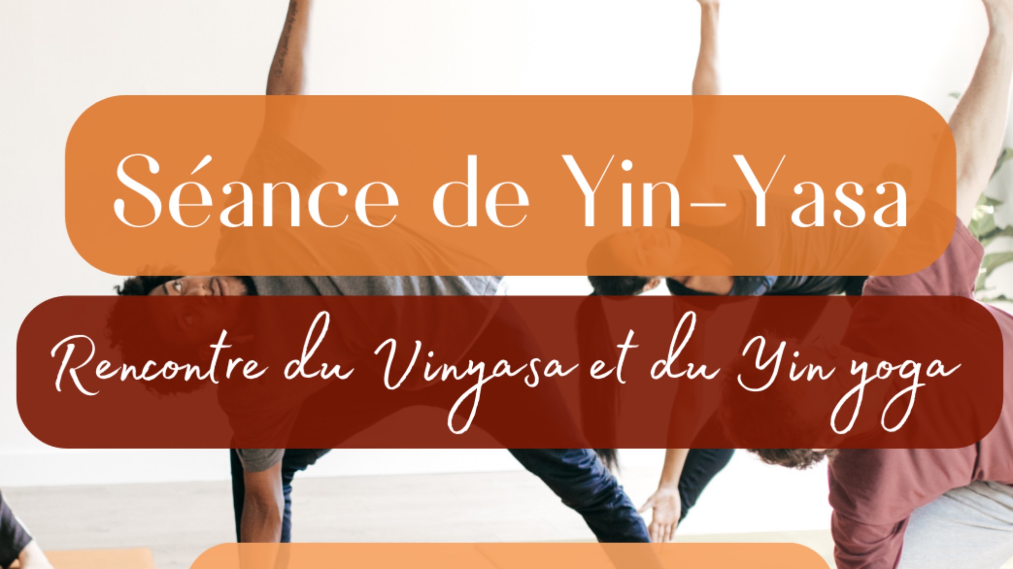 Yin-Yasa : Rencontre du Vinyasa et du Yin yoga