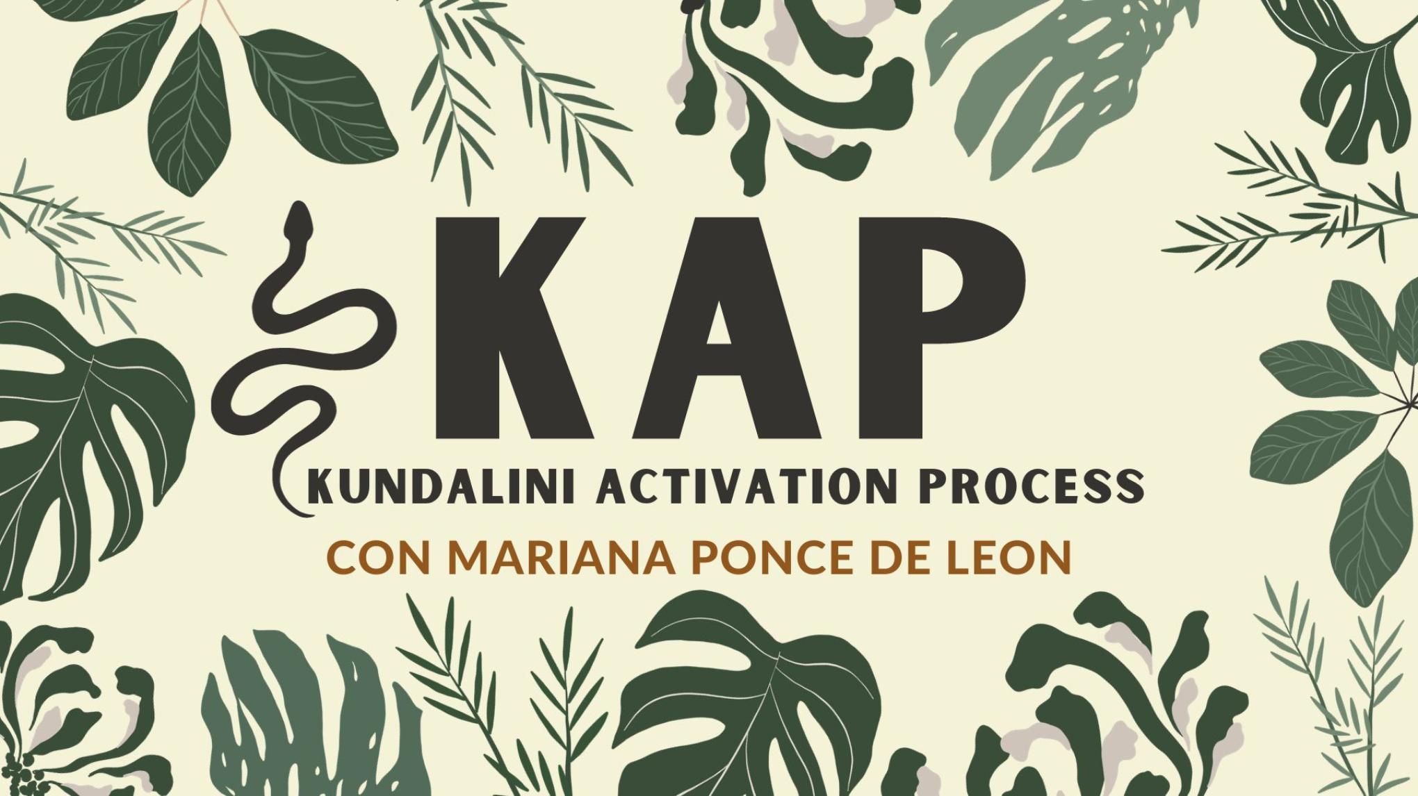 KAP (Kundalini Activation Process) Session