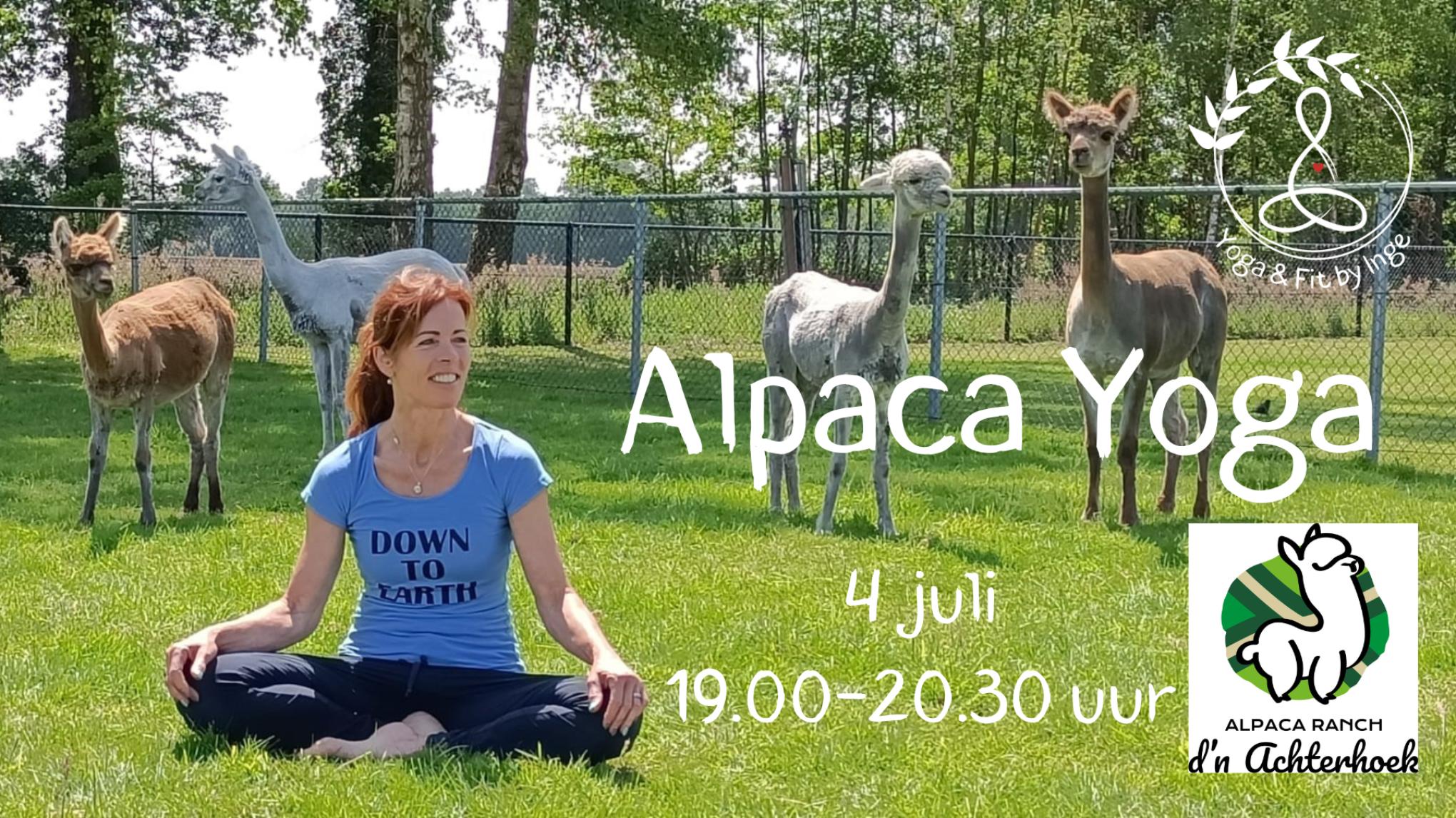 ALPACA YOGA