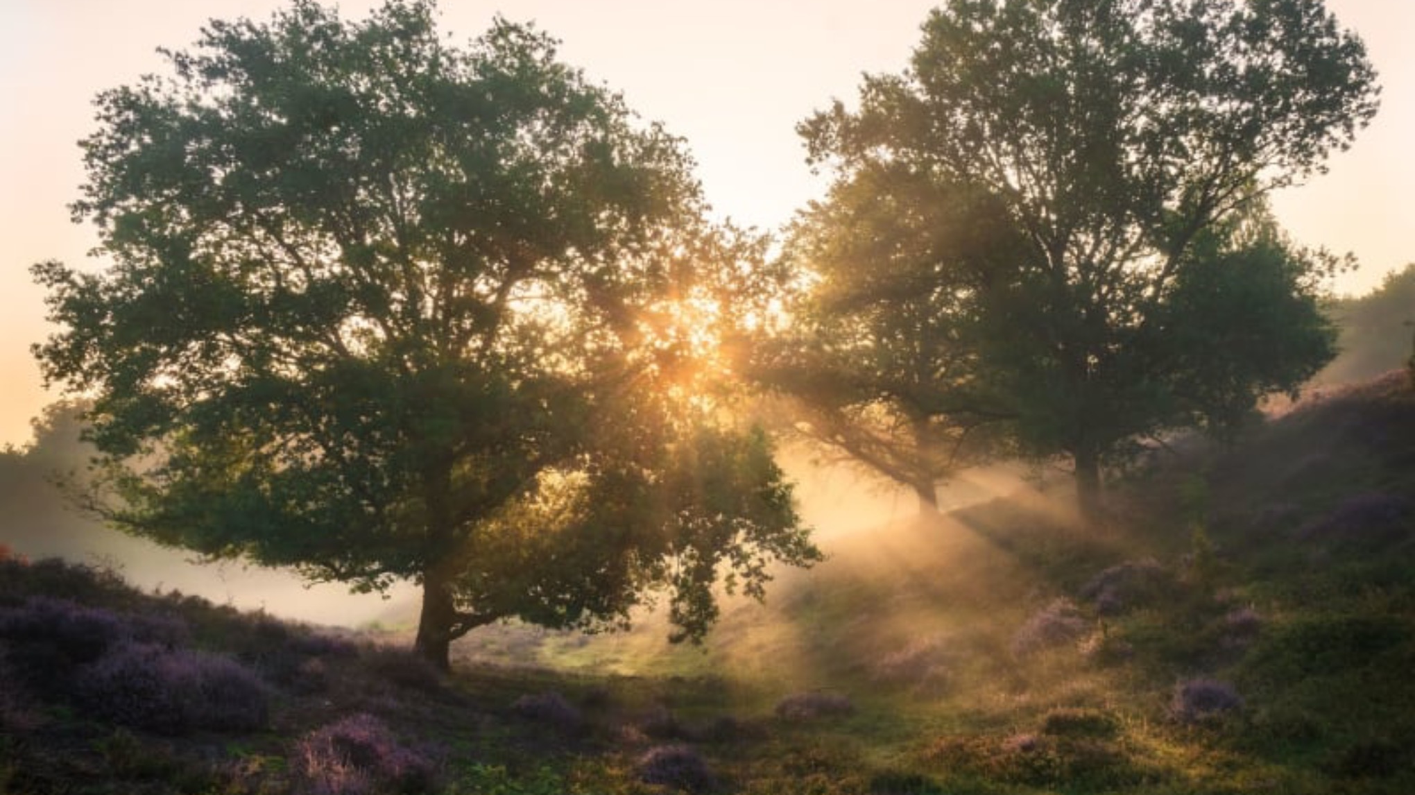 Stilte In Jezelf ochtend - September