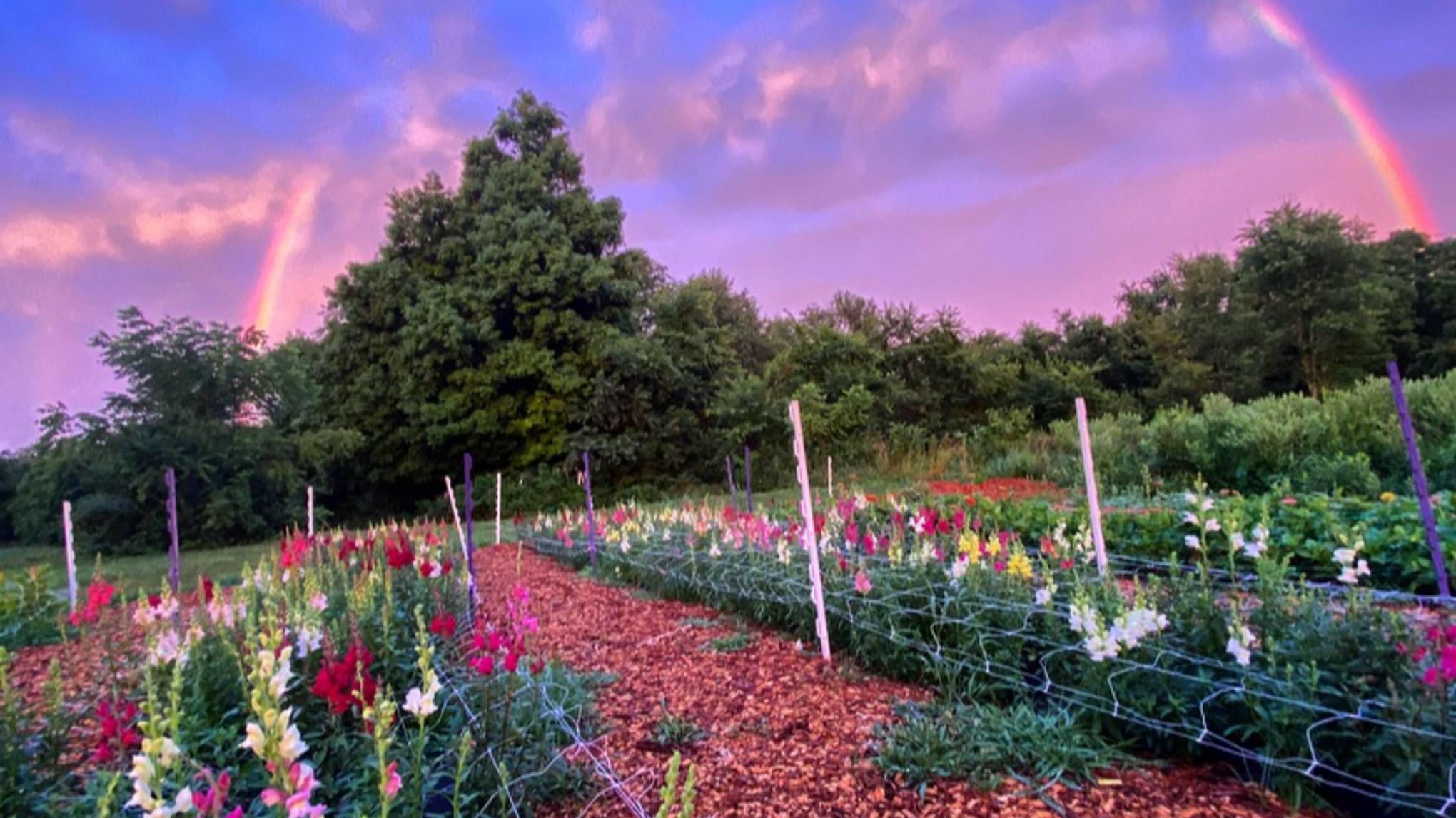 Blissful Blooms Yoga