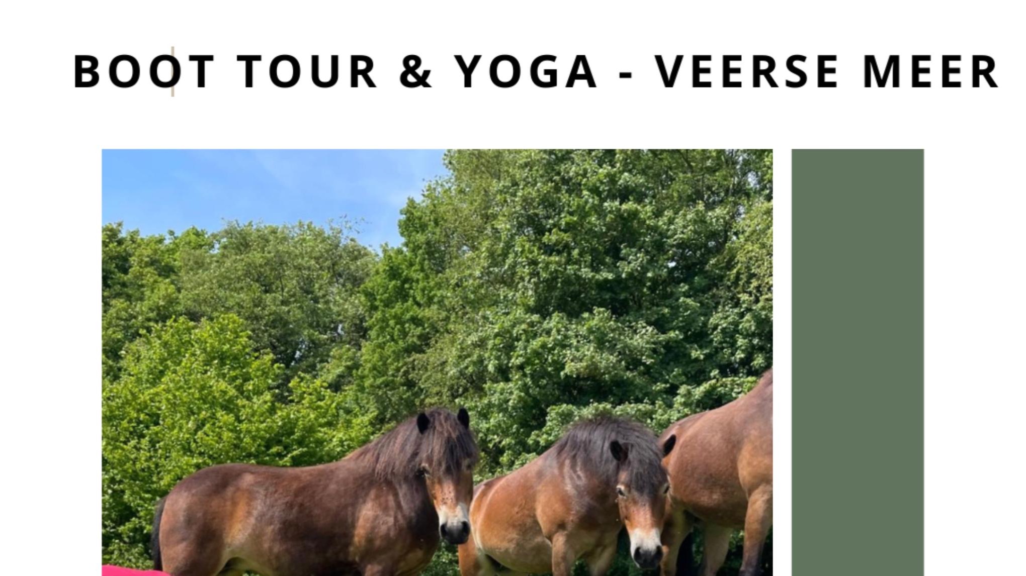 Veerse Meer - Yoga en boot tour