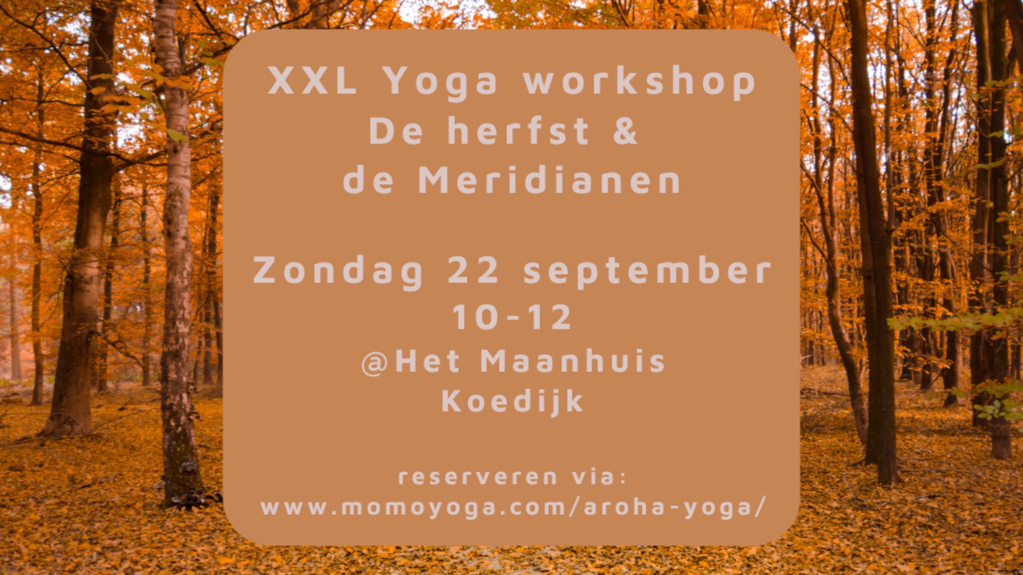 XXL Yoga Workshop, Meridianen in de Herfst