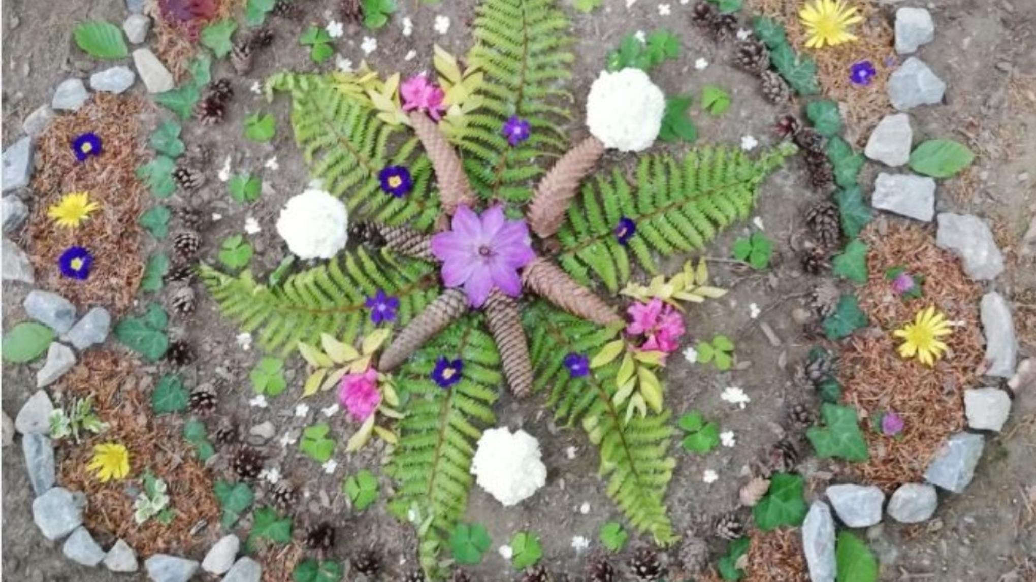 YOGA & MANDALA im Wald mit Johanna