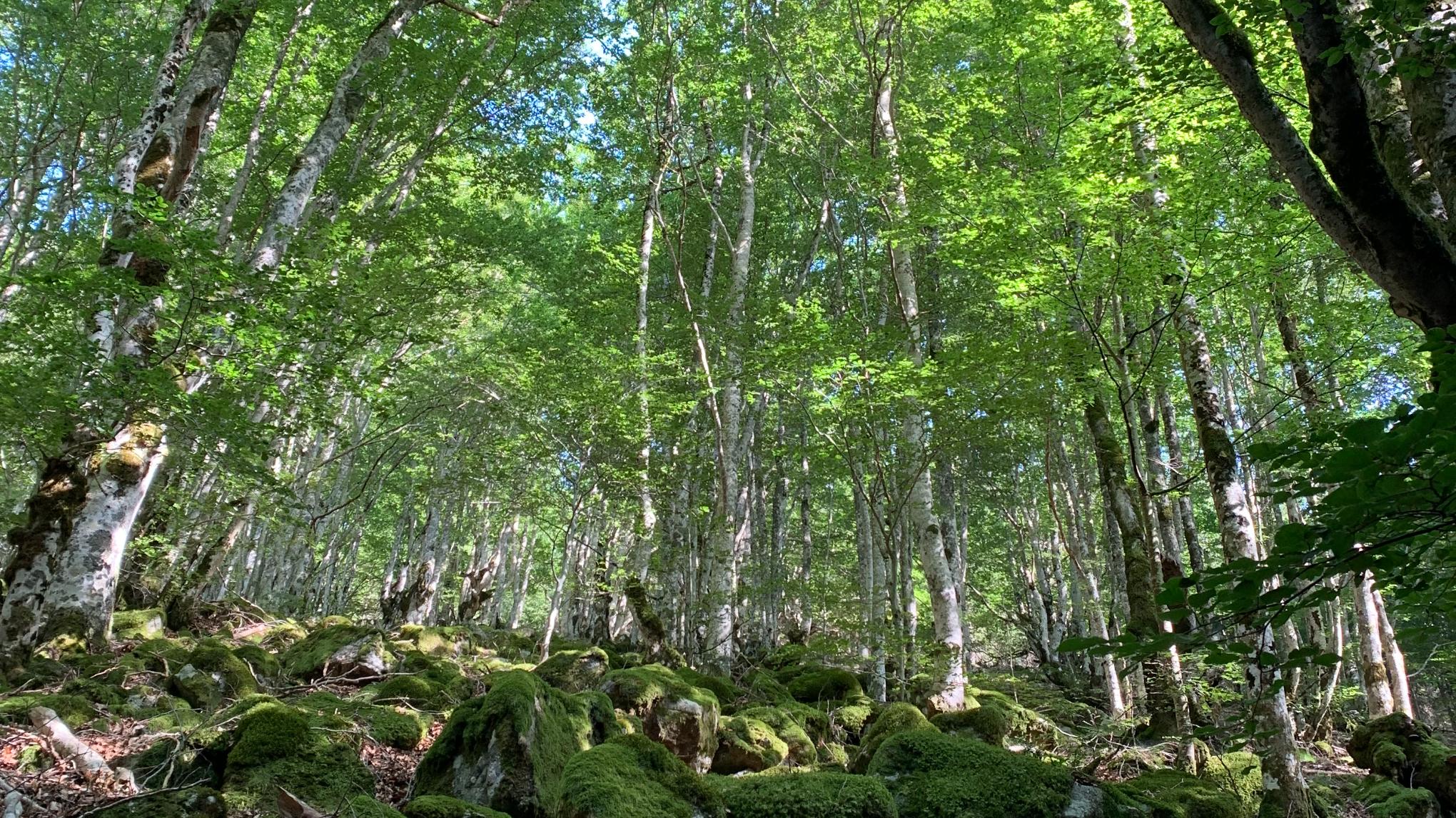 Stage - Puiser dans les (re)sources de l'automne