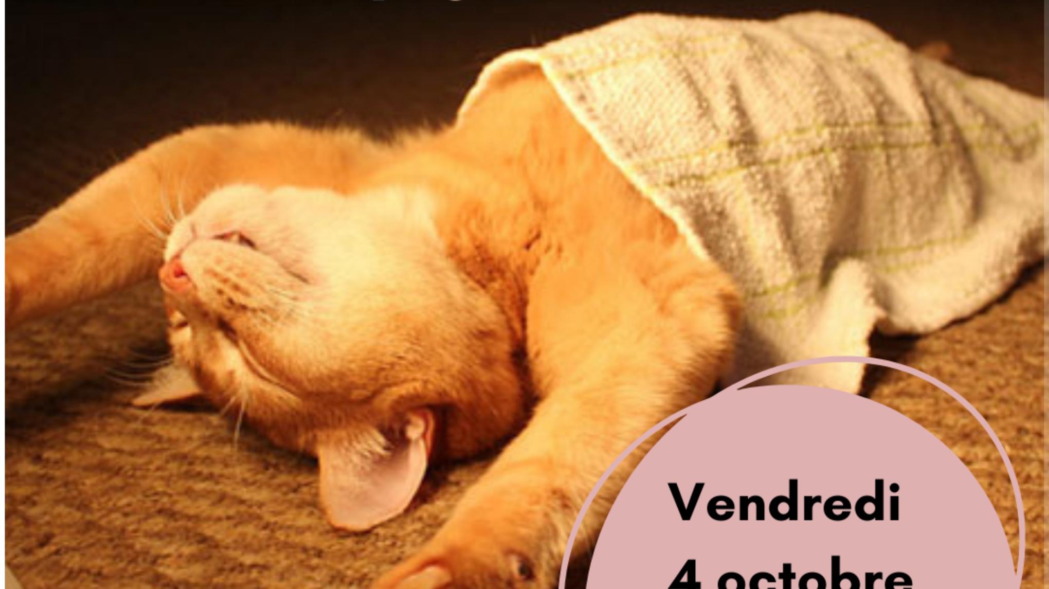 Yoga Nidra 💕 avec Jane en salle et en ligne via "ZOOM"