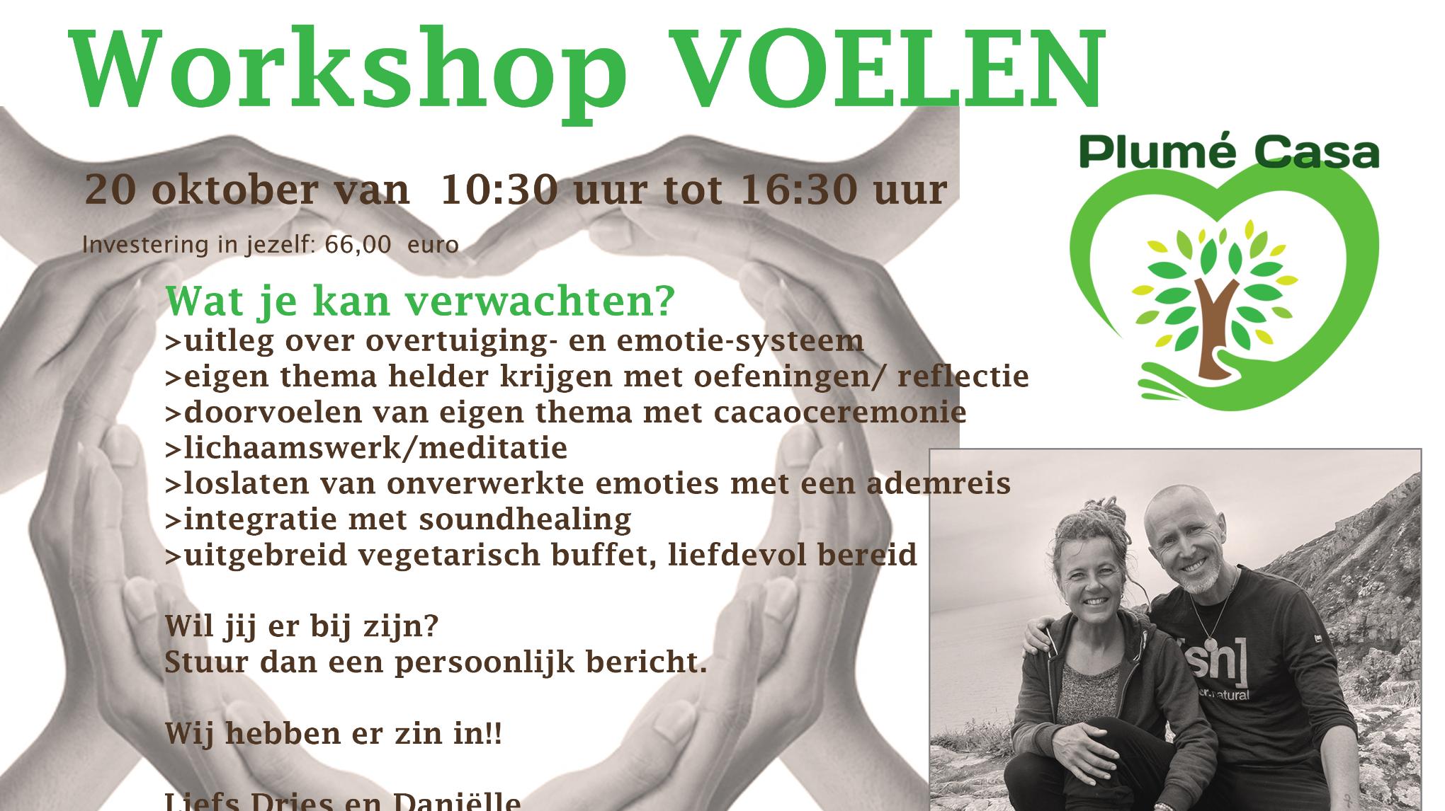 Workshop Voelen