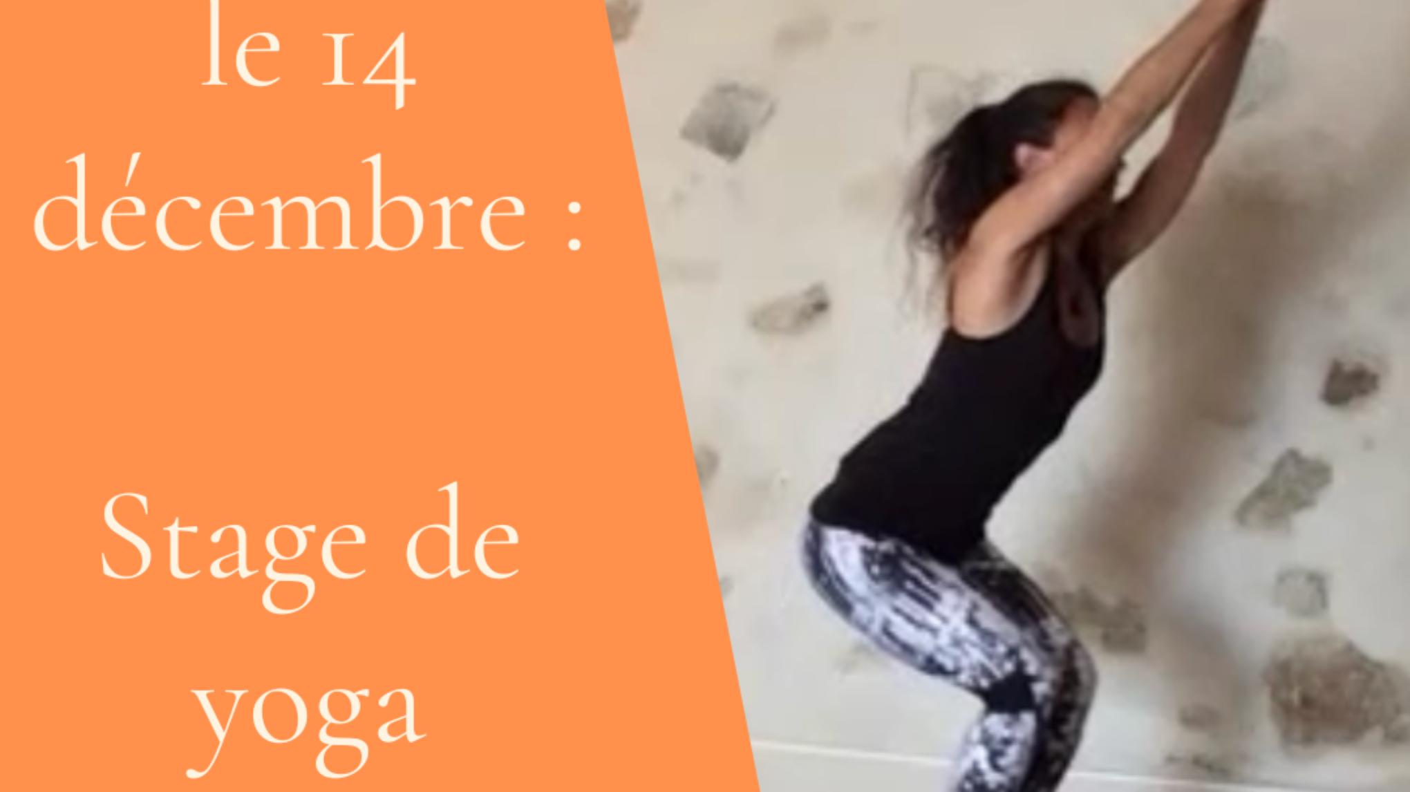 ⭐️ Stage de yoga débutant journée 6h : A régler à l'inscription