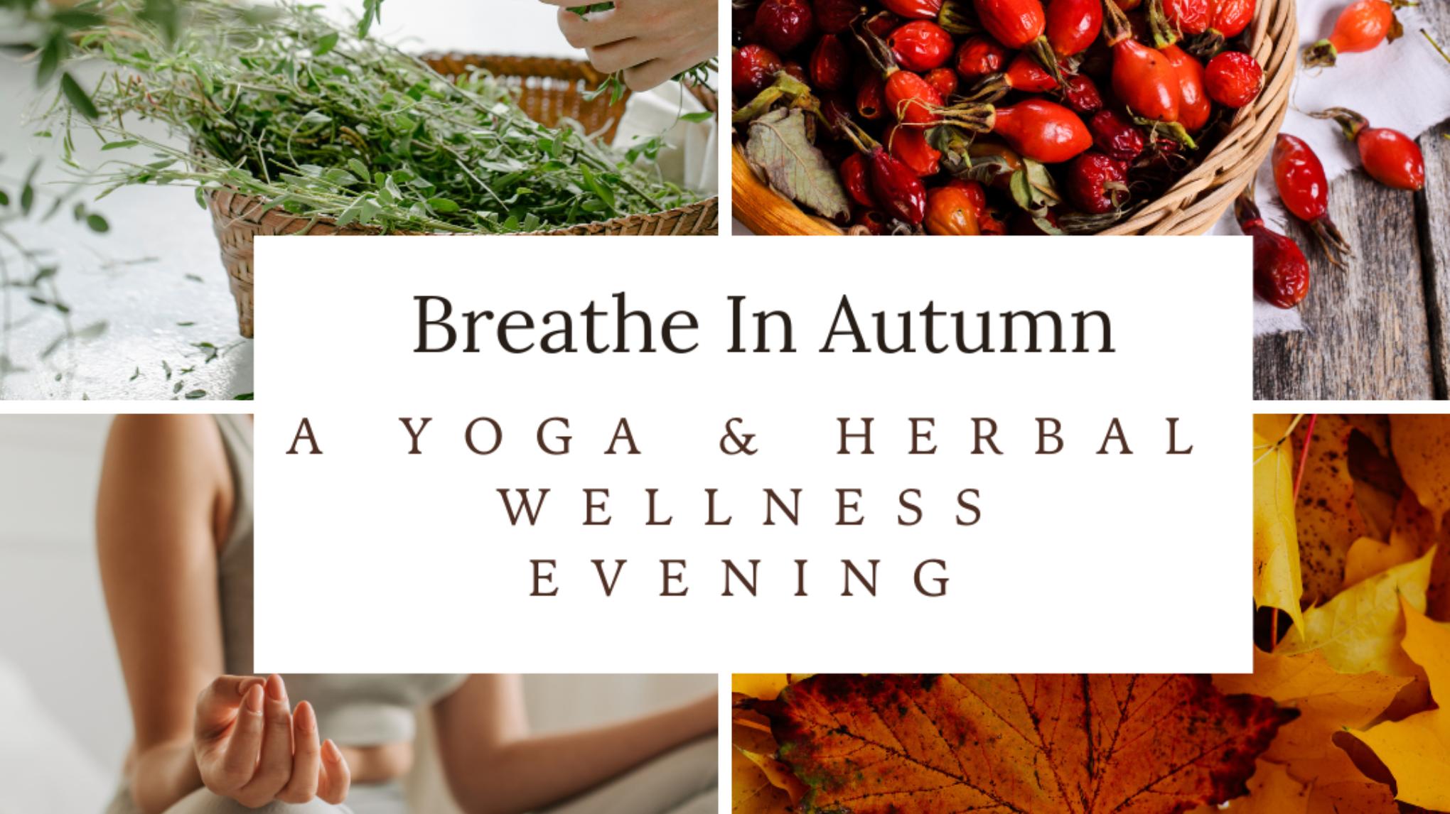 Yoga and Herbal Wellness Evening