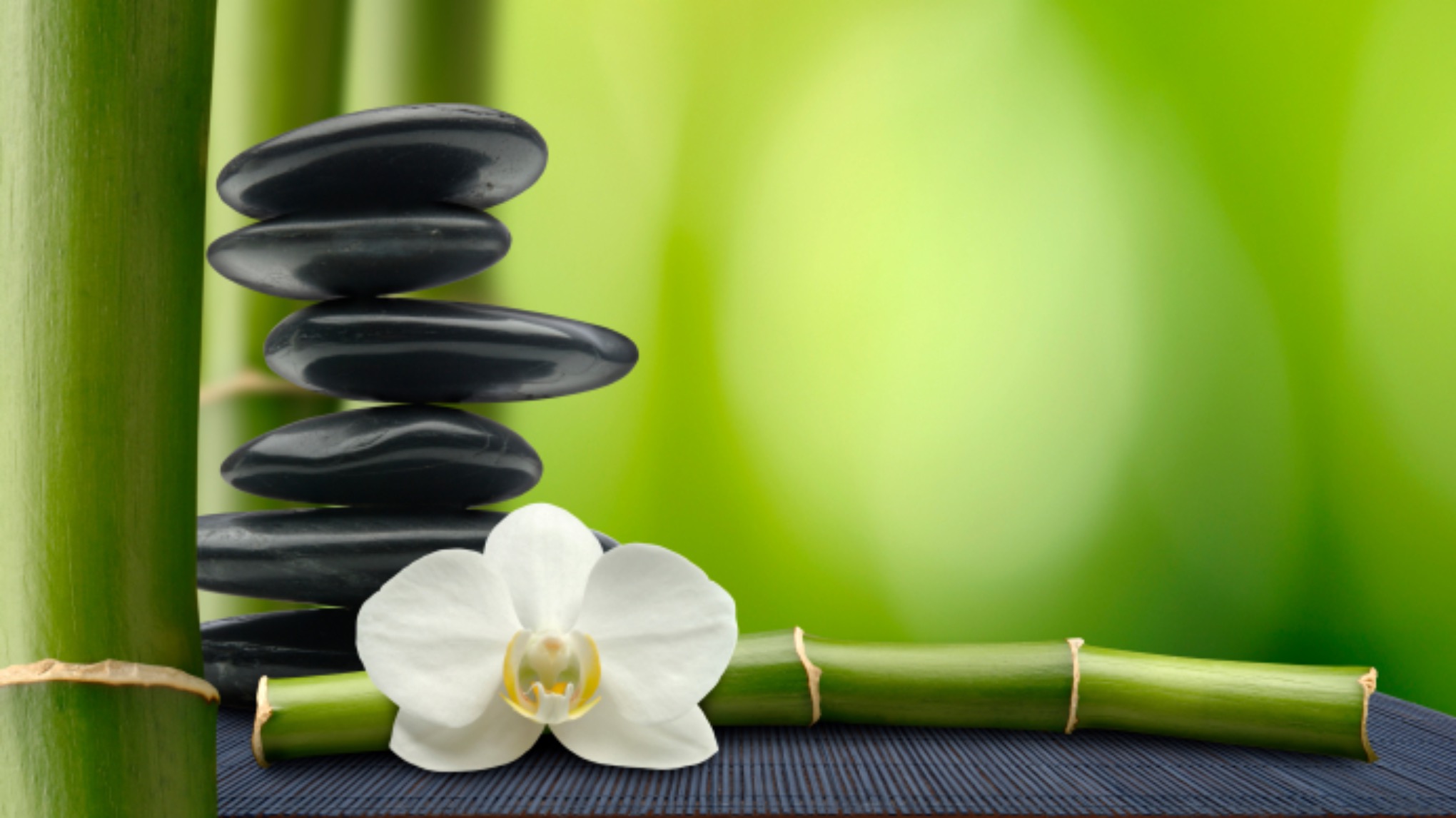 Reiki 1 Shoden Course