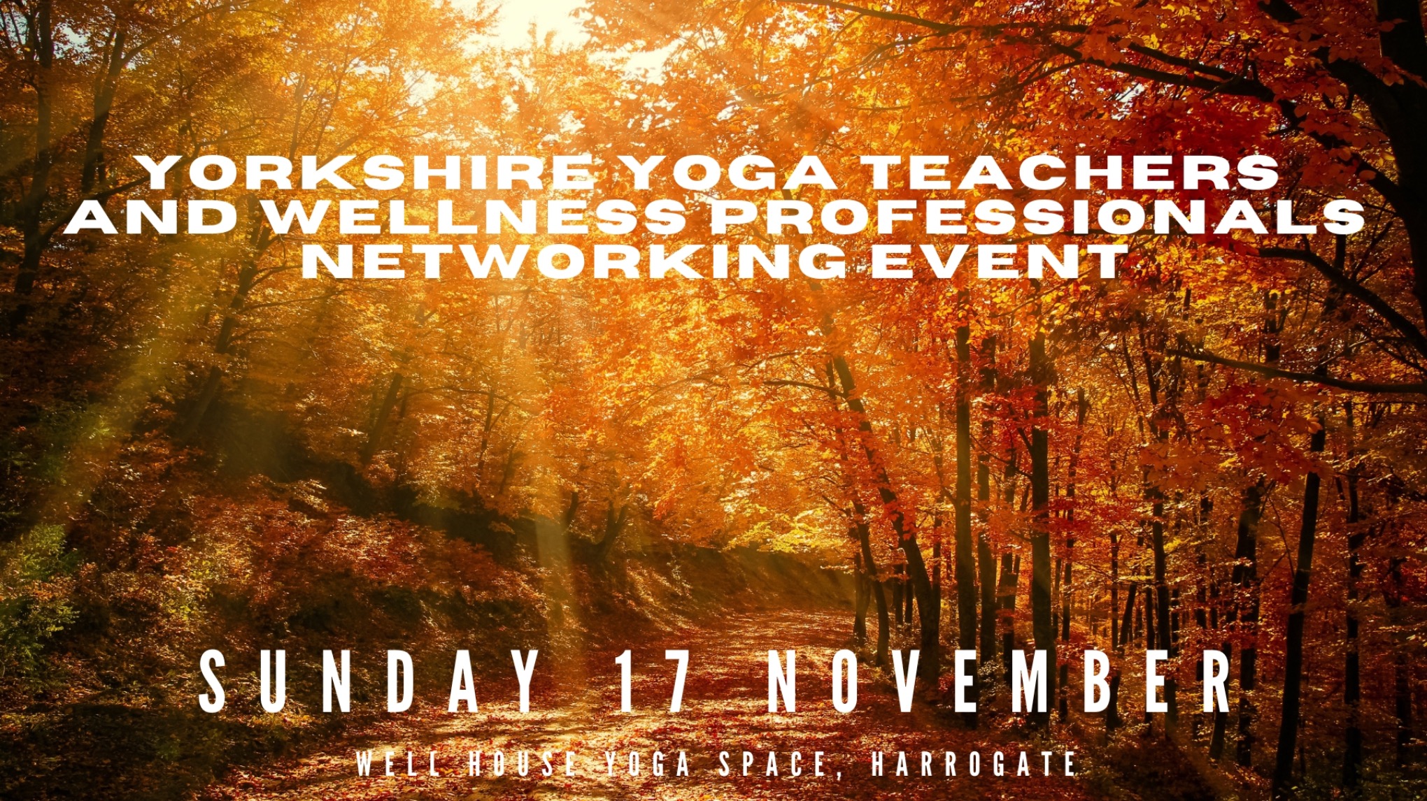 Yorkshire Yoga Teachers and Wellness Professionals Networking Event