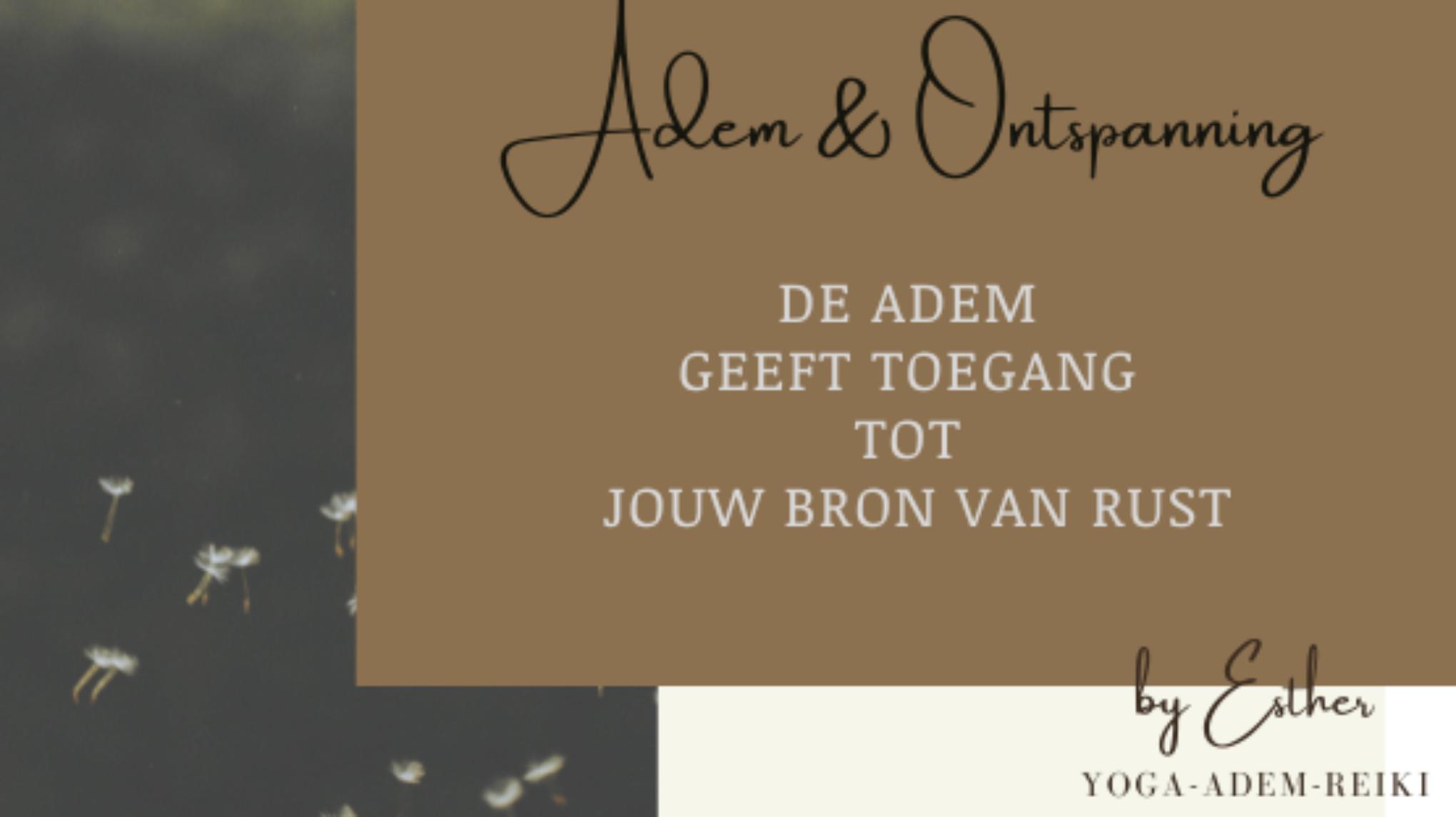 Adem & Ontspanning - de Adem geeft toegang tot jouw bron van rust