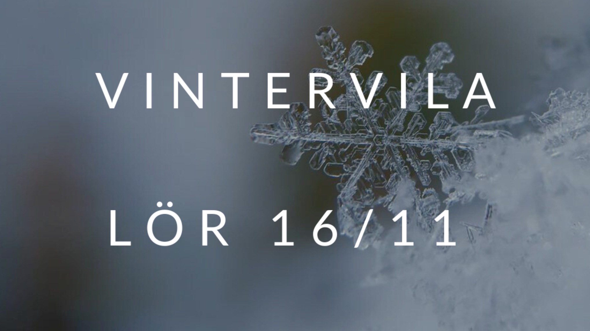 Event: Vintervila - Restorative yoga