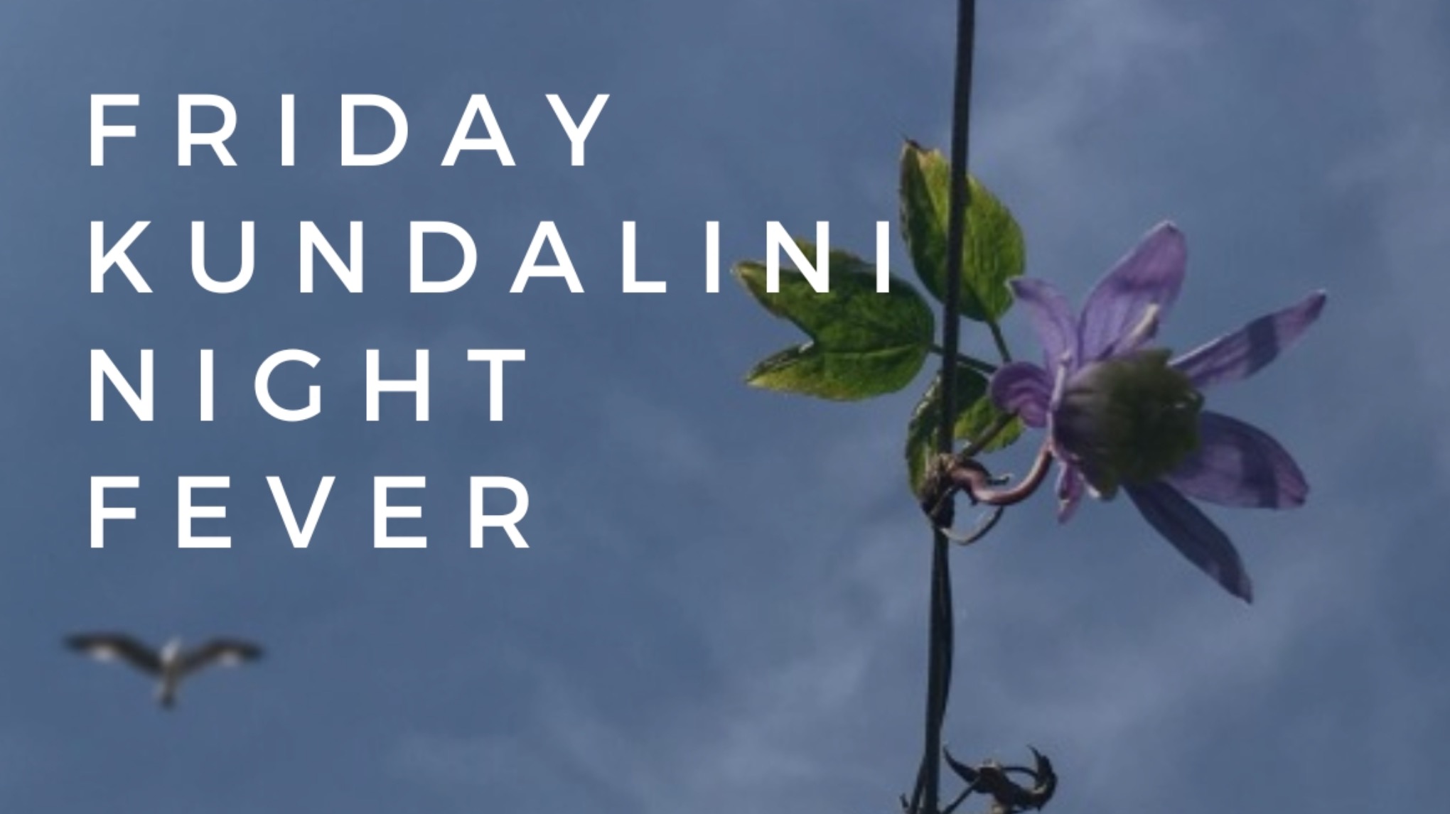 Friday (Kundalini) night fever