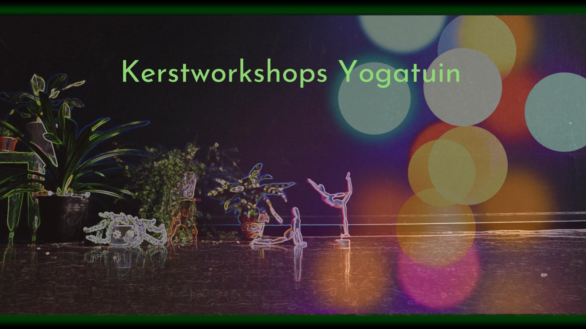 Pre-Kerstworkshop Critical Alignment Flow Yoga met Sonja