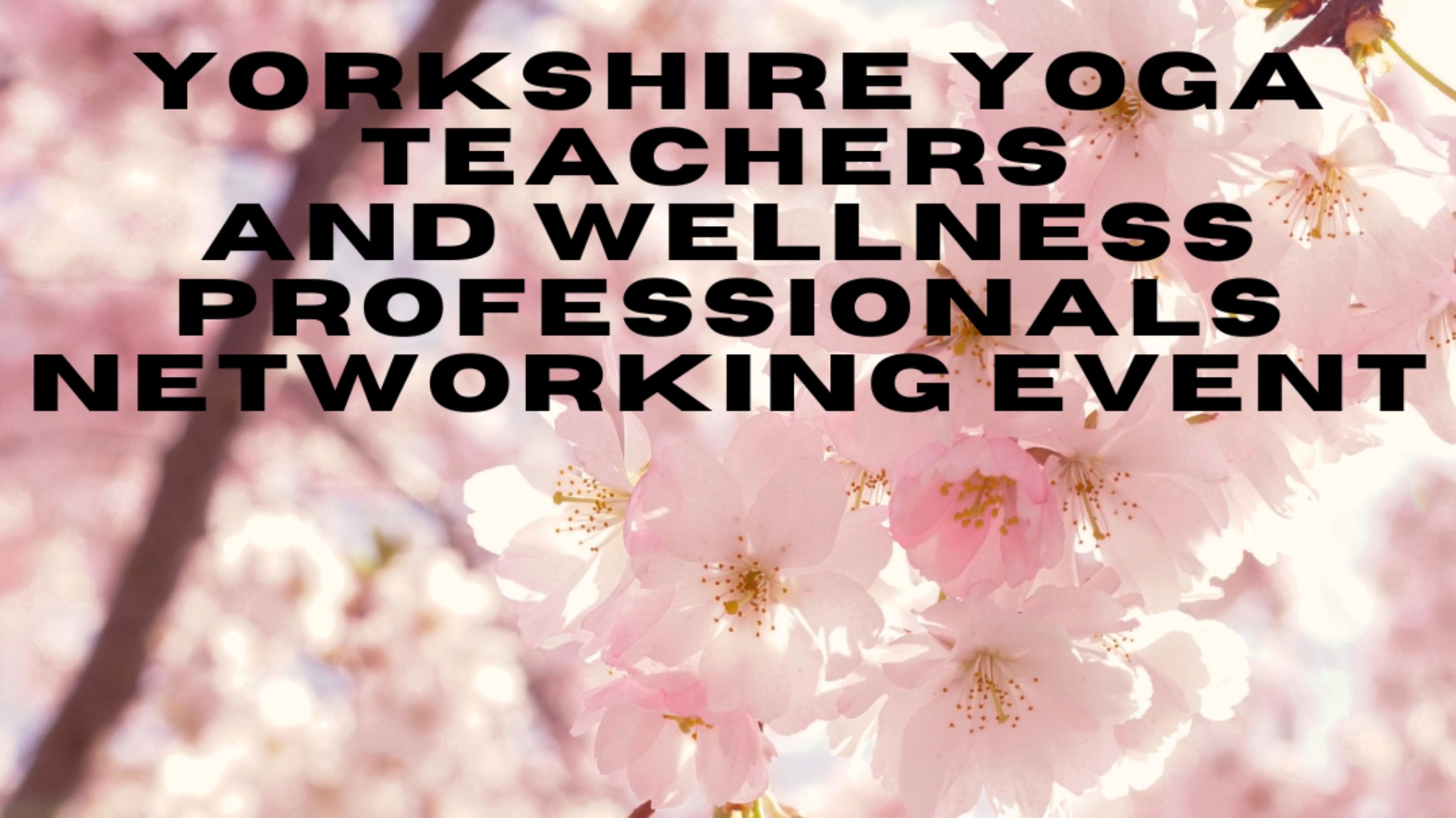 Yorkshire Yoga Teachers and Wellness Professionals Networking Event