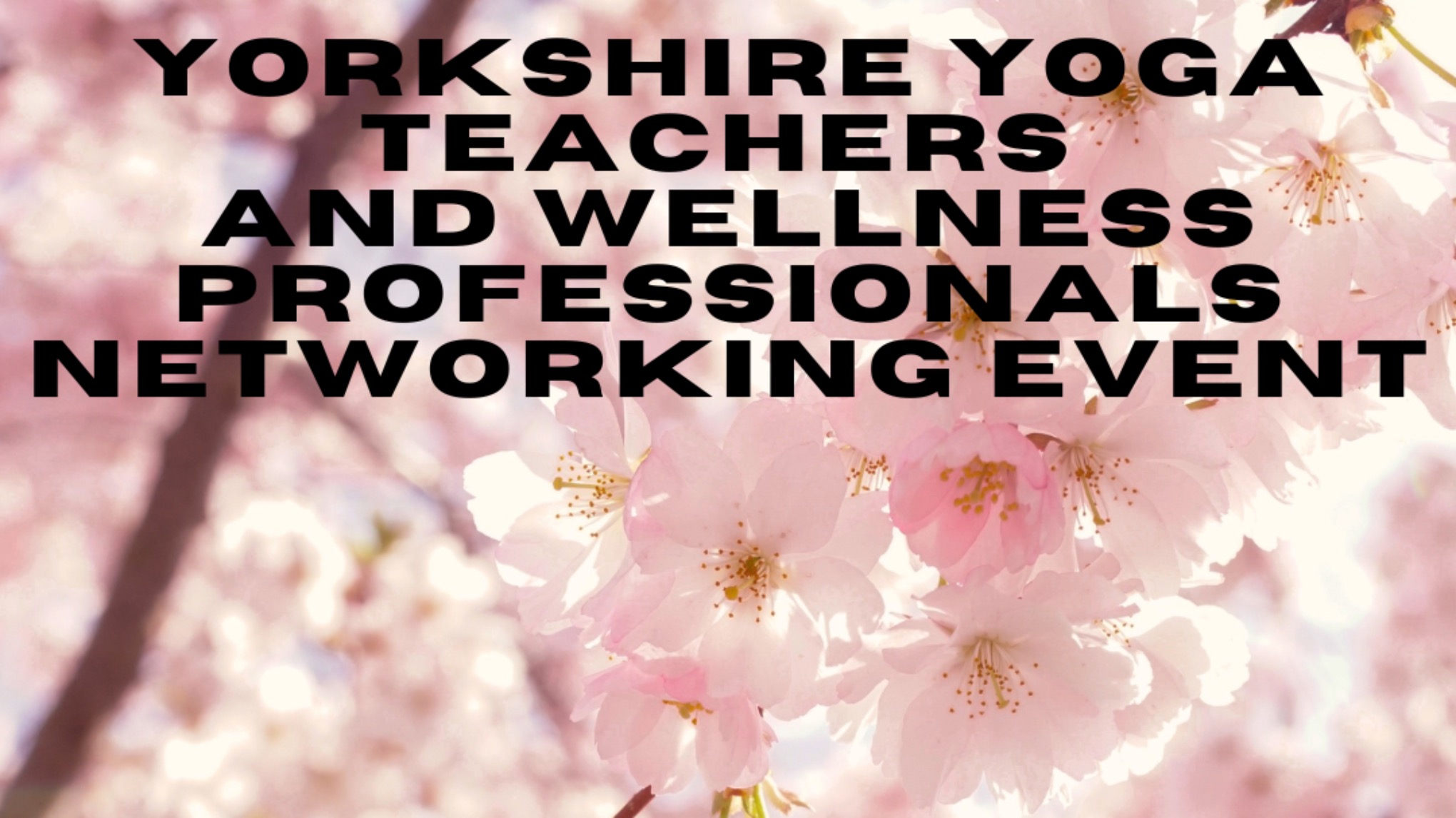 Yorkshire Yoga Teachers & Wellness Professionals Networking Event - March