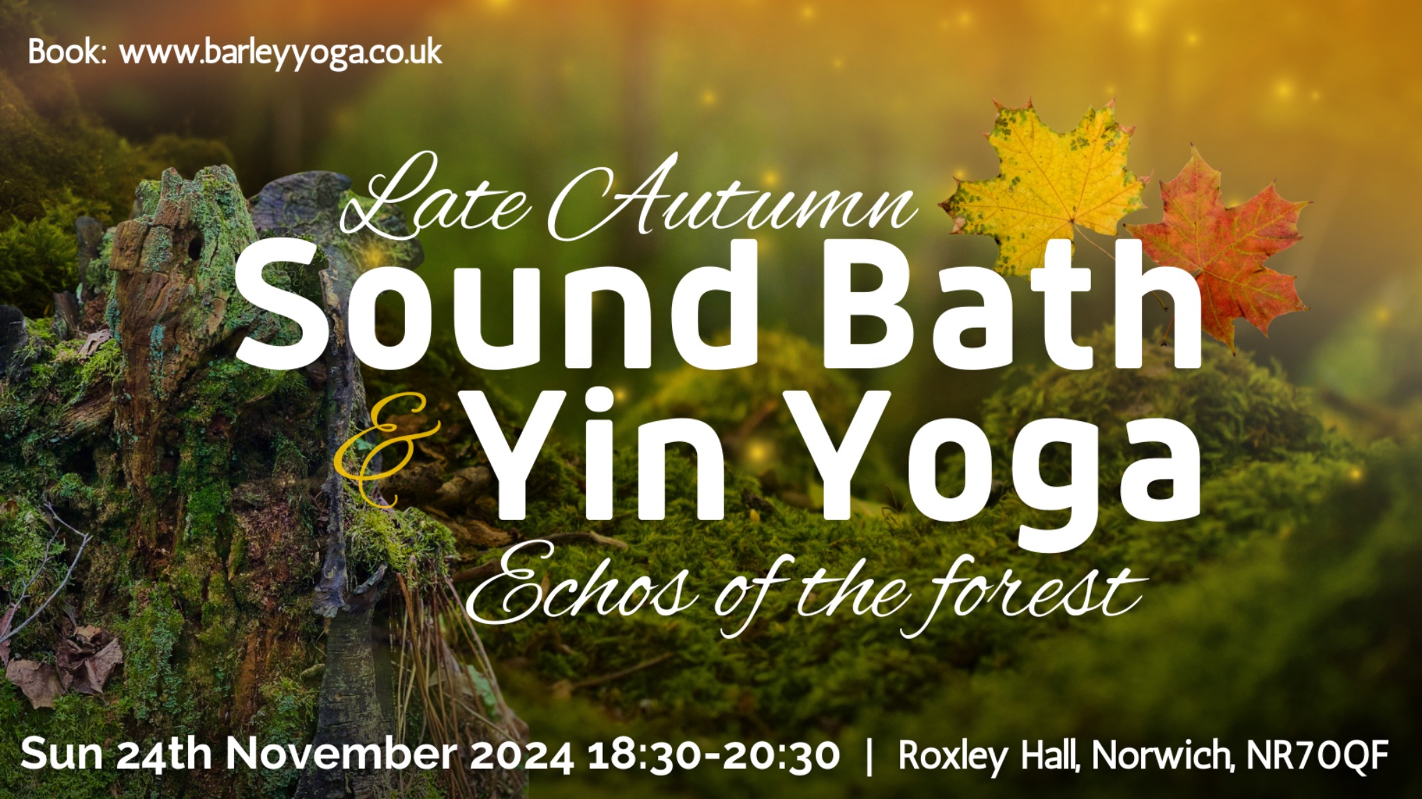 Echoes in the Forest - Yin & Sound bath