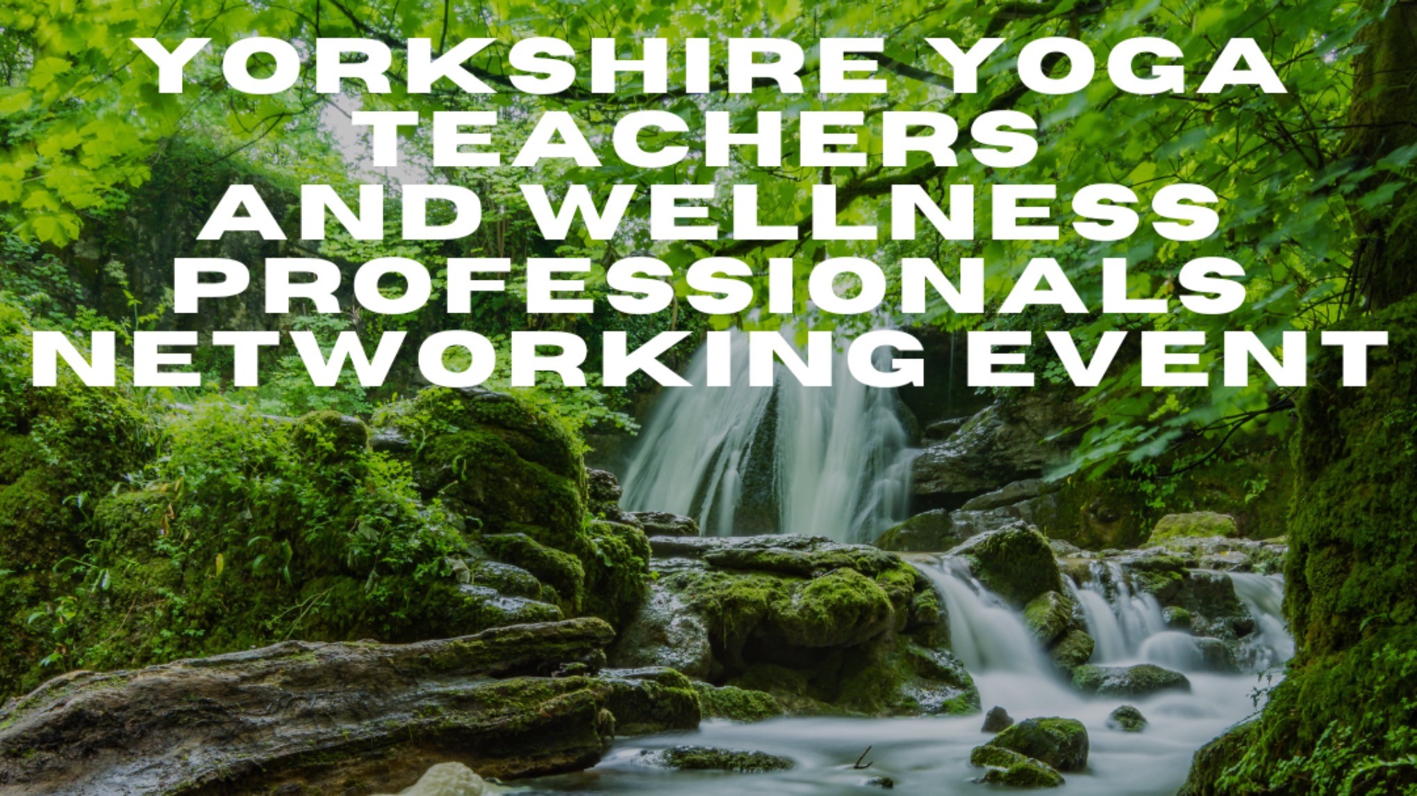 Yorkshire Yoga Teachers & Wellness Professionals Networking Event - July