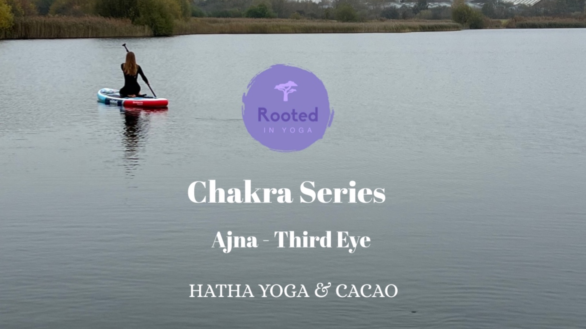 Hatha Yoga & Cacao: The Third Eye Chakra