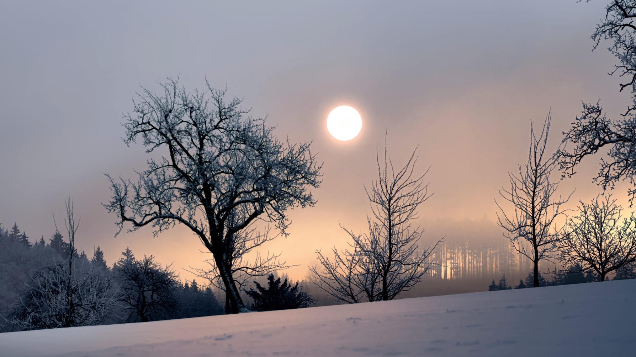 Winter Solstice Celebration