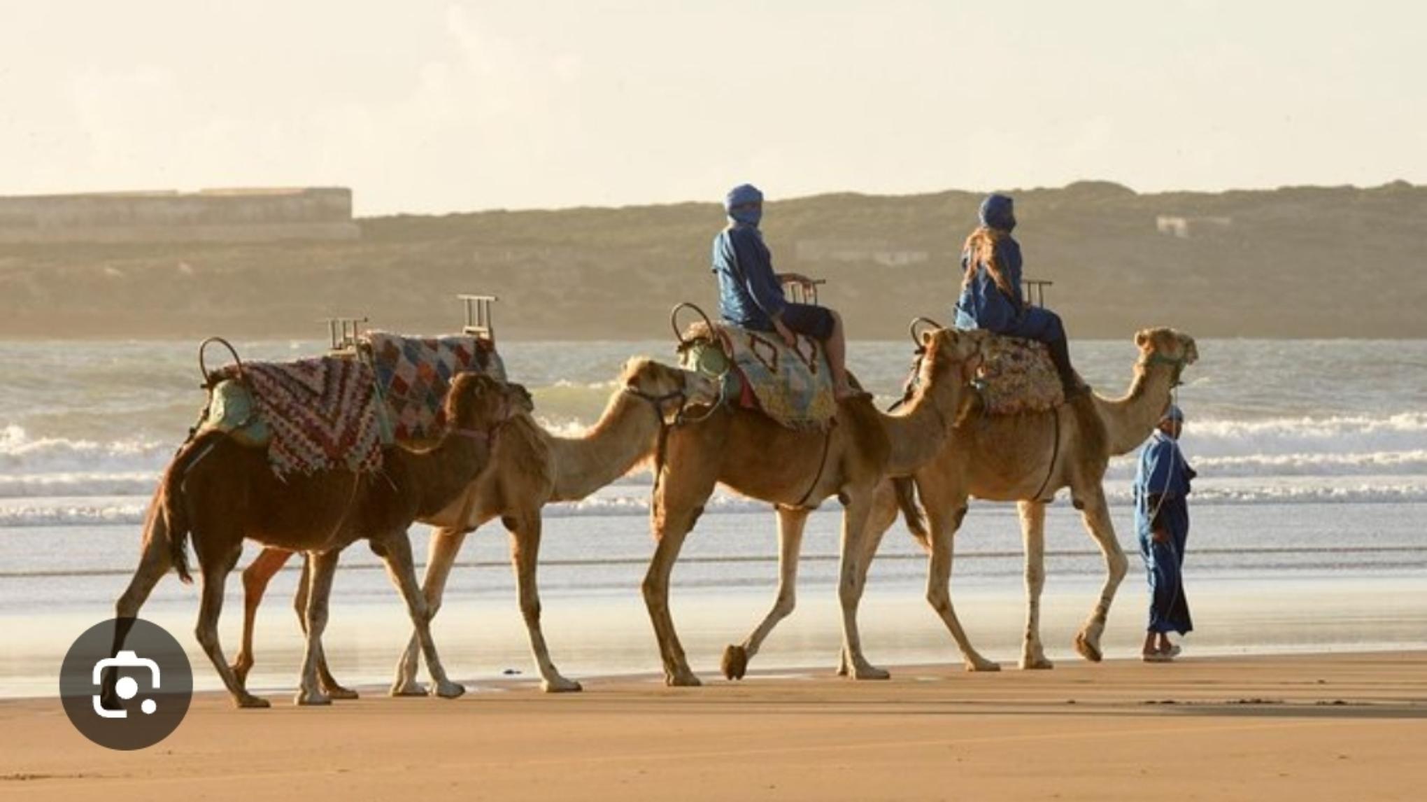 Yoga retreat Essaouira (Marokko)  9 - 16 oktober