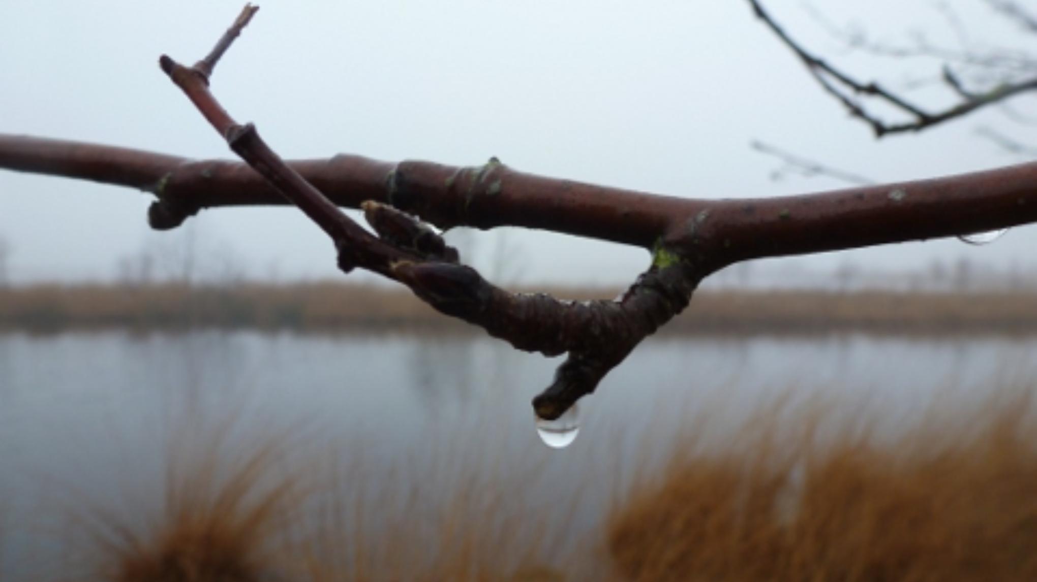 Mindful Eindejaars Stiltewandeling