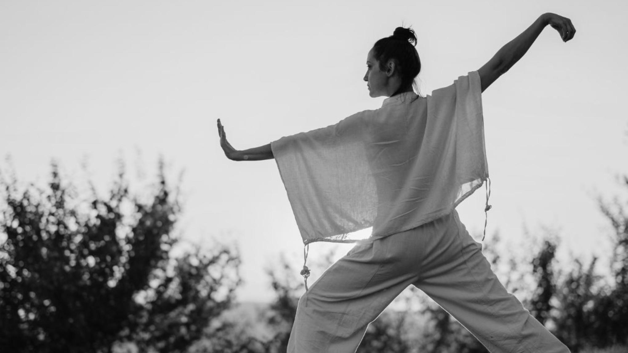 workshop QIGONG 'The Great Dance' (Niccolo/English)