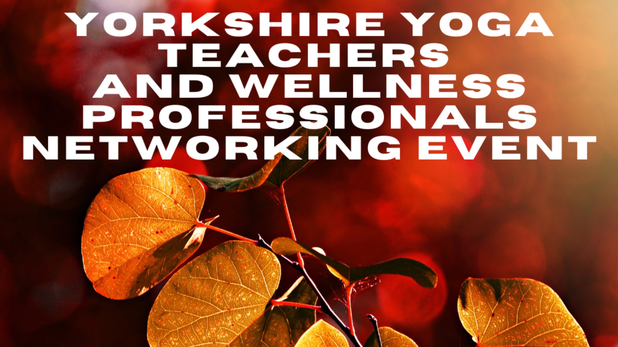 Yorkshire Yoga Teachers & Wellness Professionals Networking Event - October