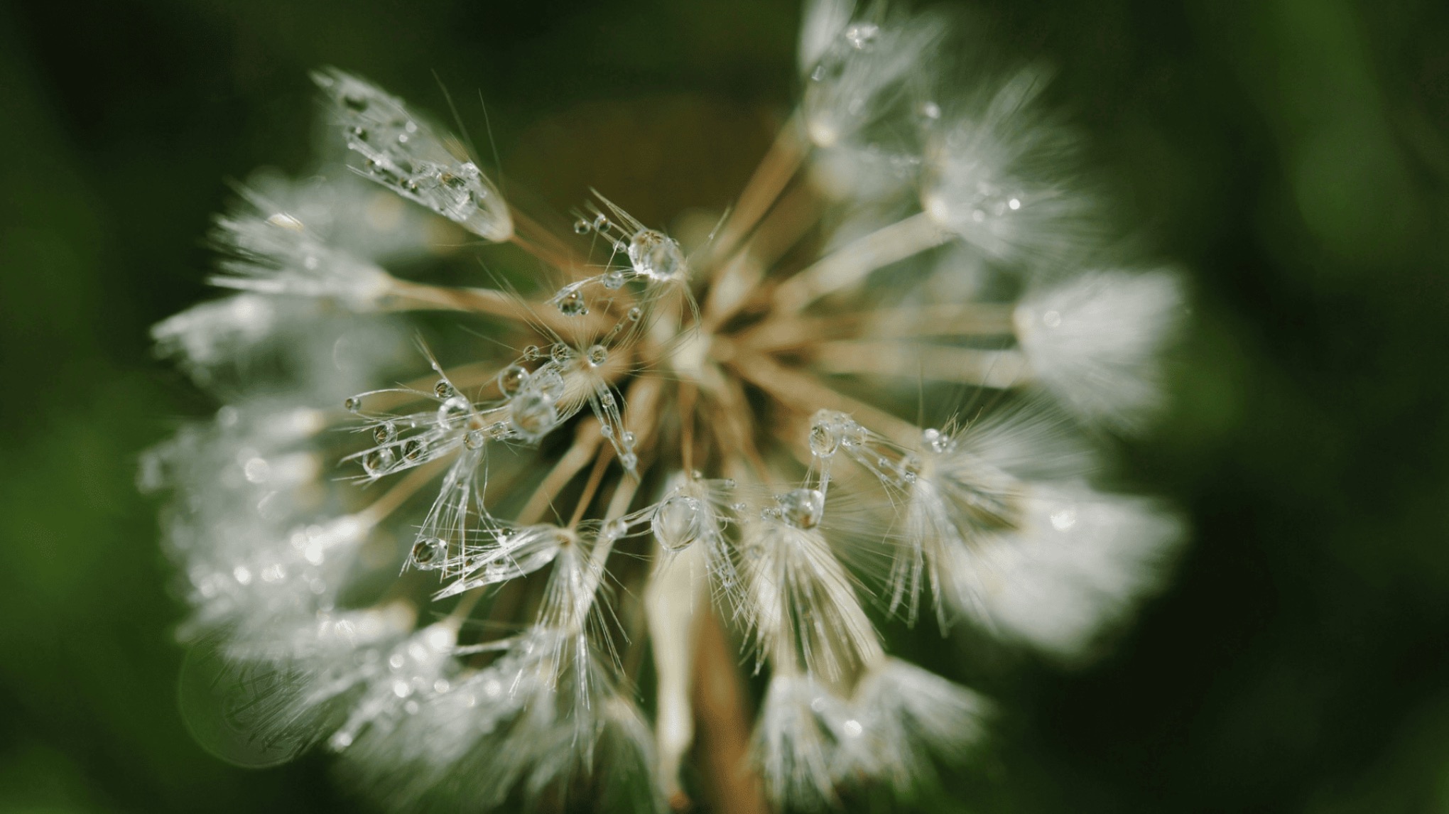 Subtle Body - Kundalini Workshop & Soundbath  with Carolyn